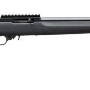 10/22 LVT .22LR 20" TB Hogue/Blk 10rd TALO - Image 1