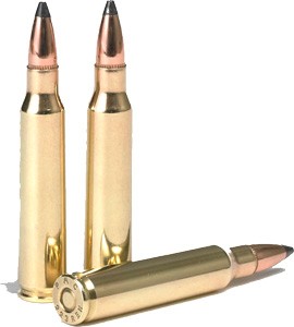 a223sp shells