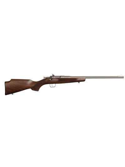 Chipmunk Dlx Youth 22 LR 16.1"  Walnut/SS 1rd