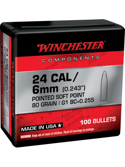 Winchester Ammo WB243SP80X Centerfire Rifle  243Win 80gr Pointed Soft Point 100 Per Box/10 Case