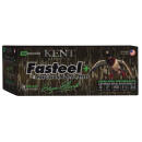 Kent Cartridge CC123FSP363X5 Fasteel + Precision Steel Sports South Exclusive 12 Gauge 3" 1 1/4 oz 3x5 Shot 100 Per Box/2 Cs