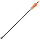 Allen 93340 Crossbow Decocking Bolt Multi-Color 24" Fiberglass