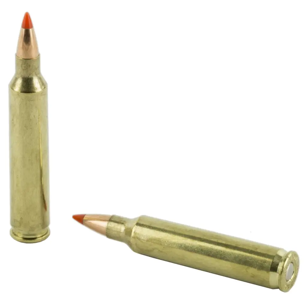 HORNADY SUPERFORMANCE VARMINT AMO 204 RUGER 32GR V-MAX SPF 20RD (10 BOX CASE) - Image 3