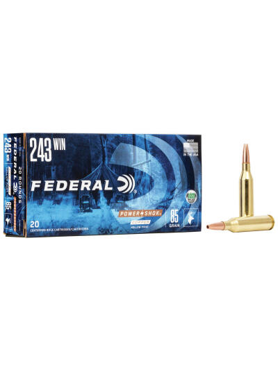 243 Win 85GR SP POWER-SHOK Copper
