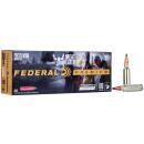 Federal P300WSMTC1 Premium  300WSM 180gr Trophy Copper 20 Per Box/10 Case
