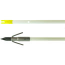 Muzzy Classic Fish Arrow White with Carp Point