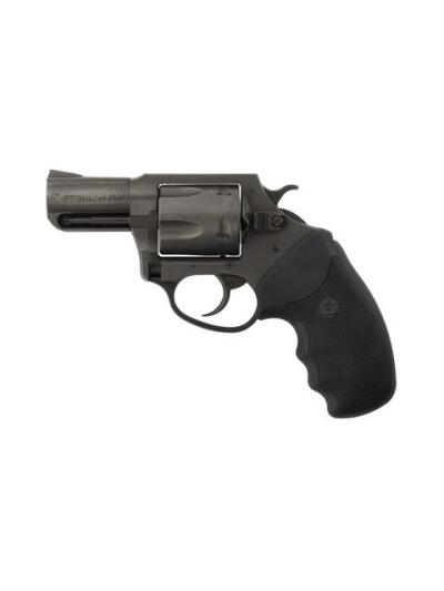 CHARTER ARMS CHARTER PITBULL 40SW NIT 2" FS