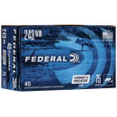 FED AMERICAN EAGLE V&P 243WIN 75GR JHP 40/5