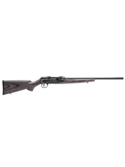 SAV A17 SPORTER 17HMR 22 GRAY LAMINATE 10RD