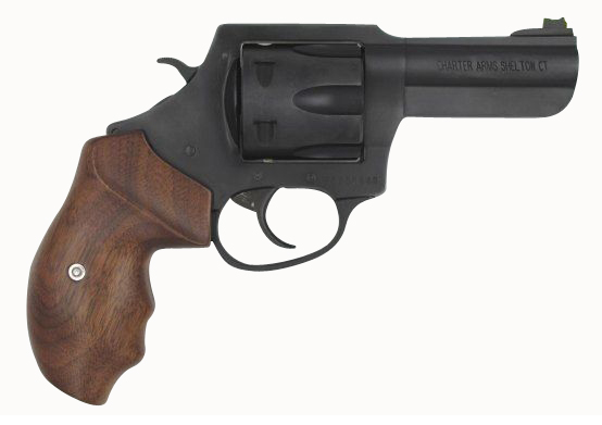 CHARTER ARMS THE PROFESSIONAL 357MAG 4.2"