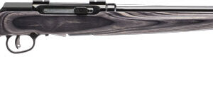 SAVAGE A17 17HMR SPORTER 22" - ACCU TGR BLU/GRY LAM SPORTER - Image 1
