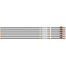 EASTON ARROW 6.5MM HUNTER CLSC - 300 W/2" BULLY VANES 6-PACK