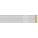 EASTON ARROW SONIC 6.0 400 - W/2" BULLY VANES 6-PACK