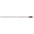 Gold Tip Hunter Arrows 400 4 in. Feathers 6 pk.