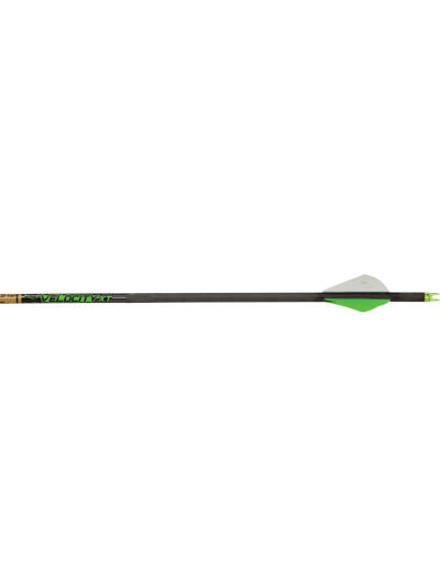 Gold Tip Velocity XT Arrows 300 2 in. Vanes 1 doz.