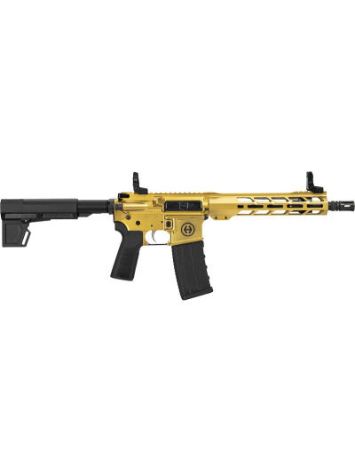 HIPOINT PISTOL HP-15 300 AAC - 10.5" 30RD BLADE BRACE GOLD