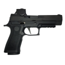 P320-M18 w/ ROMEOM17 LE