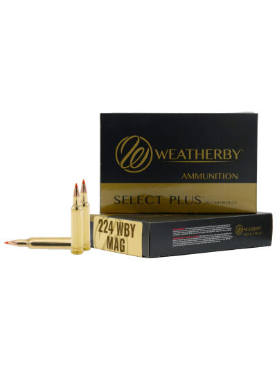 WBY AMMO 224WBY 37GR HAMMER CUSTOM 20/10