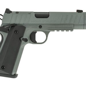 TISAS NIGHT STALKER COMP 45ACP GRY # - Image 1